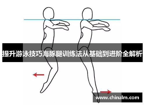 提升游泳技巧海豚腿训练法从基础到进阶全解析