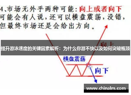 提升游泳速度的关键因素解析：为什么你游不快以及如何突破瓶颈